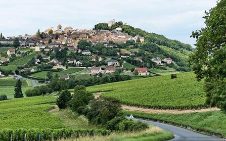 法国桑塞尔葡萄酒产区拟申请世界文化遗产