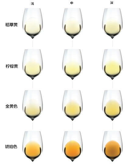 两张图带你分辨葡萄酒的颜色